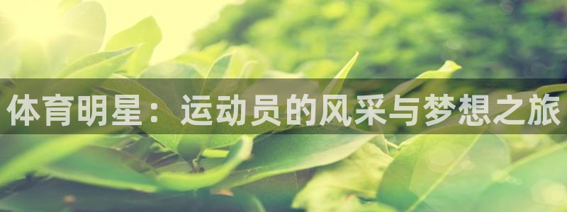 BTV体育电视直播：体育明星：运动员的风采与梦想之旅