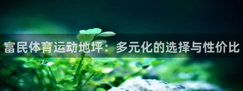 btv体育休闲频道节目单：富民体育运动地坪：多元化的选择与性价比