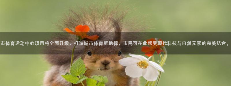 BTV体育陆放：市体育运动中心项目将全面升级，打造城市体育新地标，市民可在此感受现代科技与自然元素的完美结合。
