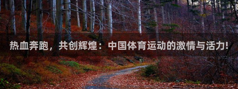 BTV体育李晶：热血奔跑，共创辉煌：中国体育运动的激情与活力!