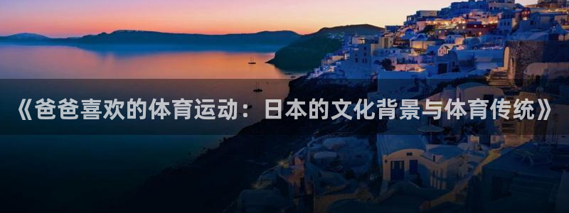 BTV体育回放在线观看：《爸爸喜欢的体育运动：日本的文化背景与体育传统》