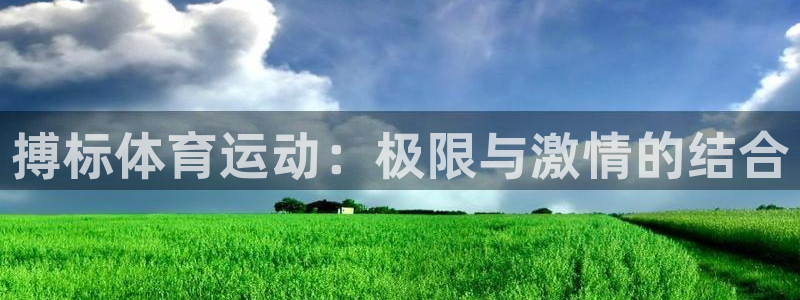 关键词：搏标体育运动：极限与激情的结合
