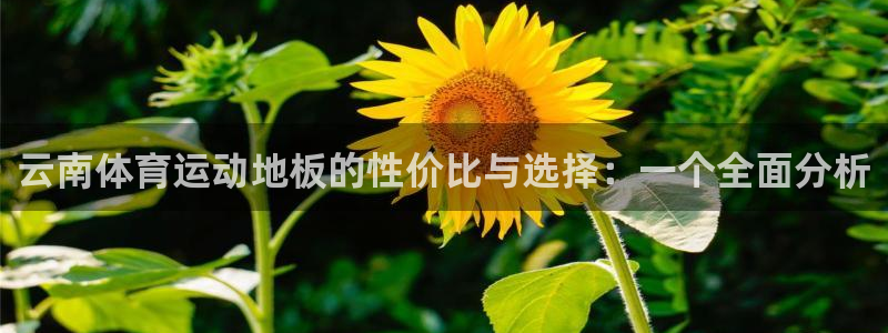 btv体育电视节目表：云南体育运动地板的性价比与选择：一个全面分析