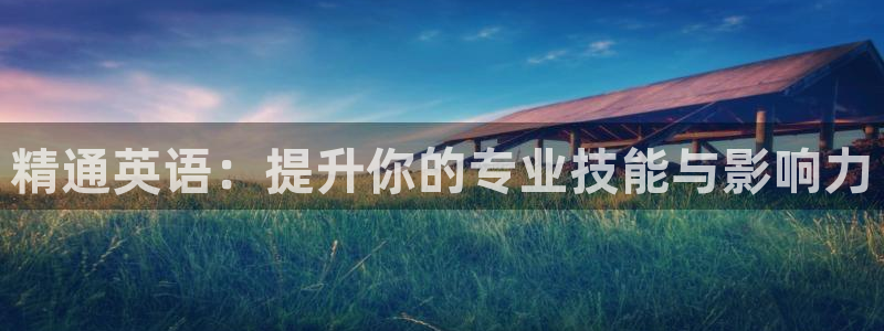 btv体育app官网下载：精通英语：提升你的专业技能与影响力