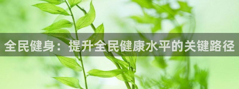 BTV体育免费直播入口：全民健身：提升全民健康水平的关键路径
